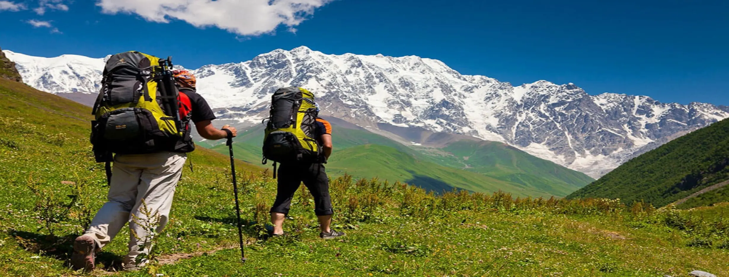 Image for Adventure Opportunities